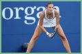 
How Much Money Does Karolína Plíšková Make? Latest Income Salary
